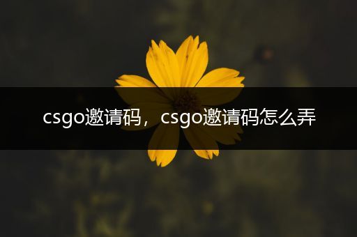 csgo邀请码，csgo邀请码怎么弄