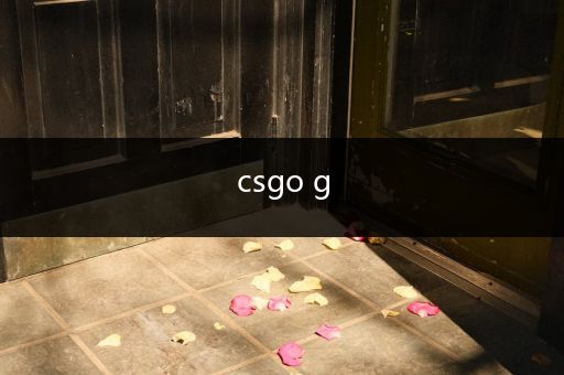 csgo g