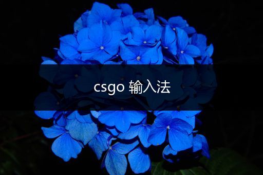 csgo 输入法