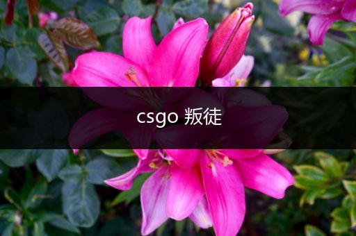 csgo 叛徒