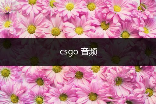 csgo 音频