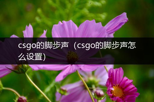 csgo的脚步声（csgo的脚步声怎么设置）