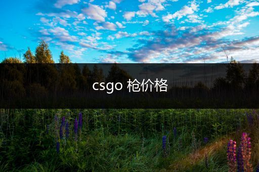 csgo 枪价格