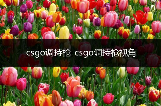 csgo调持枪-csgo调持枪视角