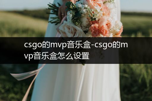 csgo的mvp音乐盒-csgo的mvp音乐盒怎么设置