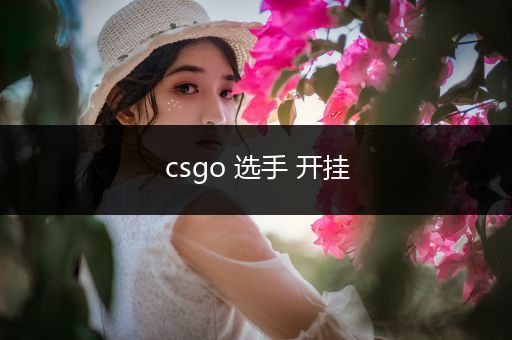 csgo 选手 开挂