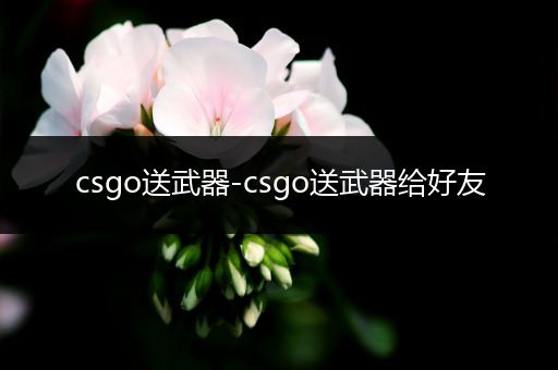 csgo送武器-csgo送武器给好友