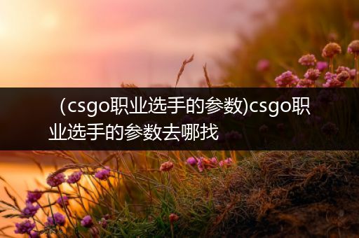 （csgo职业选手的参数)csgo职业选手的参数去哪找