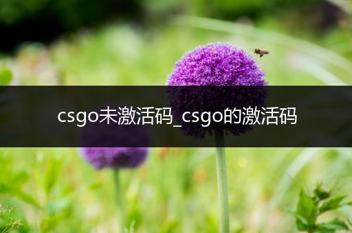 csgo未激活码_csgo的激活码