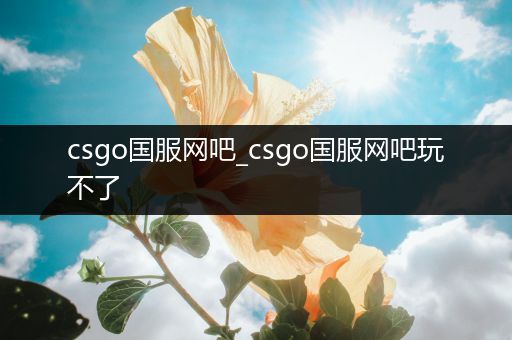 csgo国服网吧_csgo国服网吧玩不了