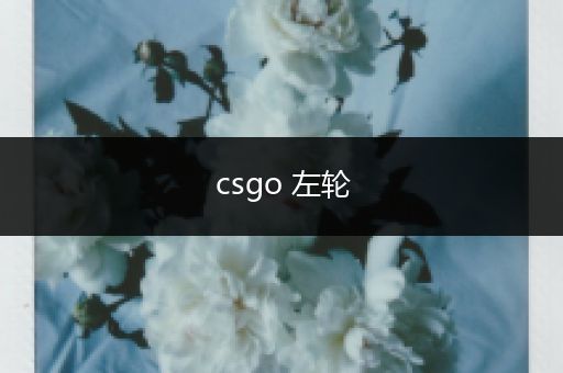 csgo 左轮