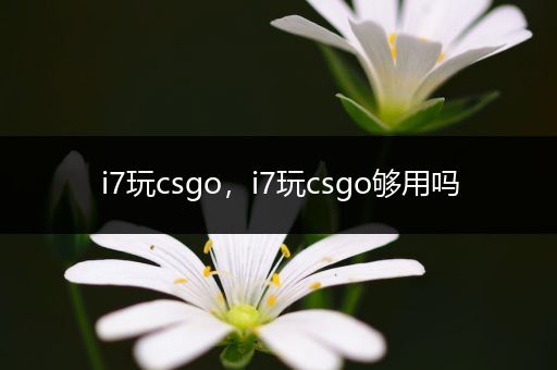 i7玩csgo，i7玩csgo够用吗