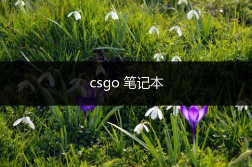 csgo 笔记本