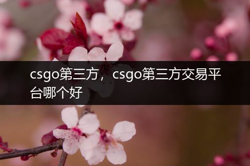 csgo第三方，csgo第三方交易平台哪个好