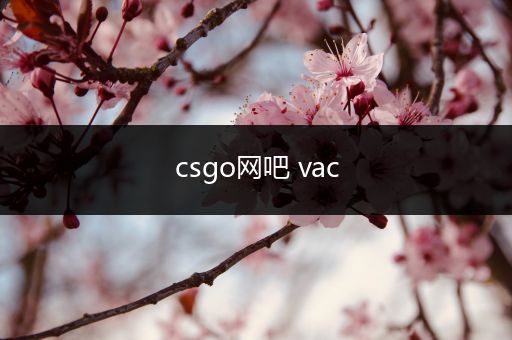 csgo网吧 vac