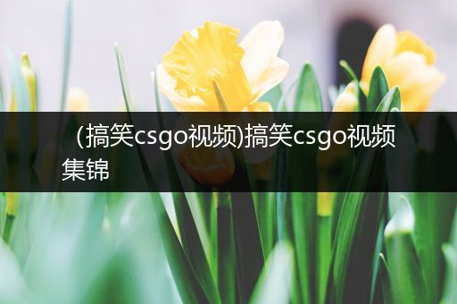 （搞笑csgo视频)搞笑csgo视频集锦