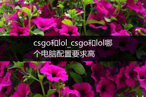 csgo和lol_csgo和lol哪个电脑配置要求高