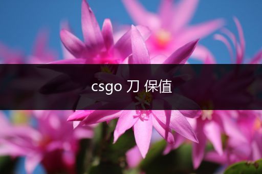 csgo 刀 保值