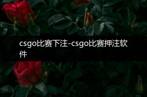 csgo比赛下注-csgo比赛押注软件