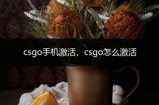 csgo手机激活，csgo怎么激活