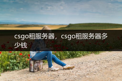 csgo租服务器，csgo租服务器多少钱