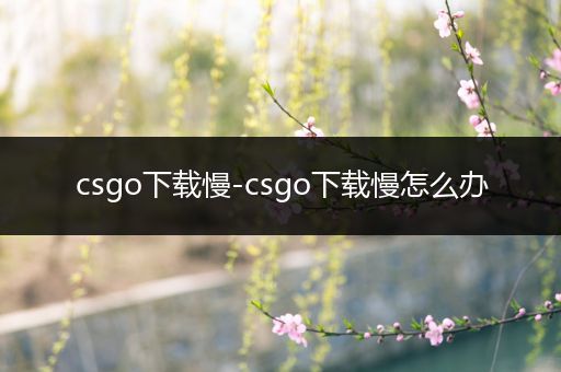 csgo下载慢-csgo下载慢怎么办