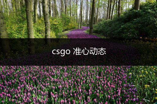 csgo 准心动态