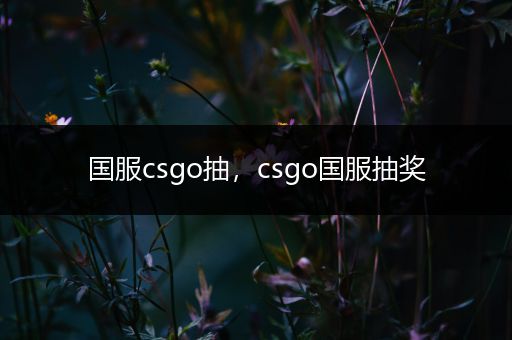 国服csgo抽，csgo国服抽奖