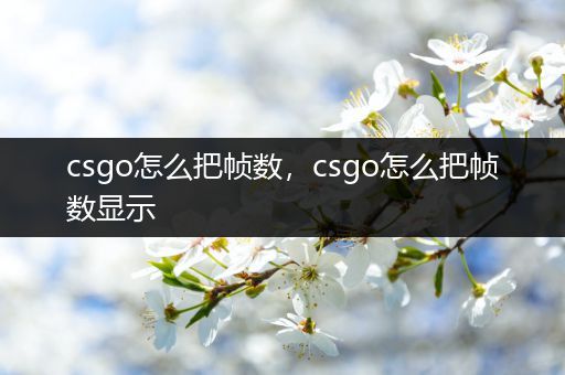 csgo怎么把帧数，csgo怎么把帧数显示