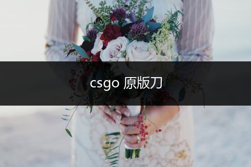 csgo 原版刀