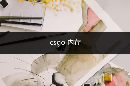 csgo 内存