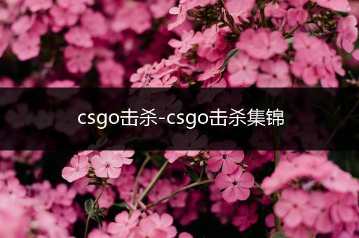 csgo击杀-csgo击杀集锦