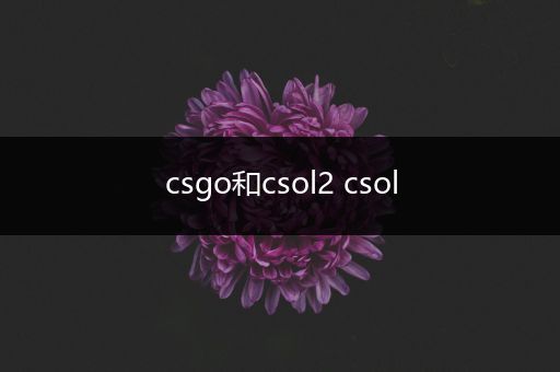 csgo和csol2 csol