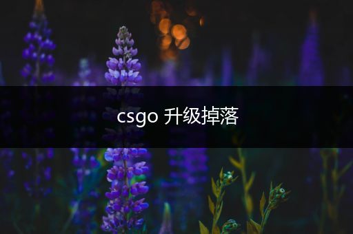 csgo 升级掉落