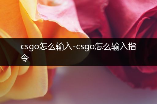 csgo怎么输入-csgo怎么输入指令