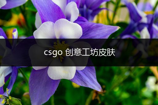 csgo 创意工坊皮肤