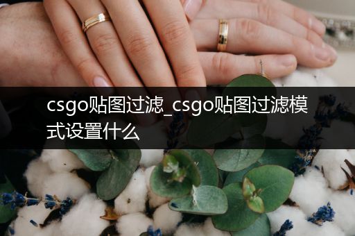 csgo贴图过滤_csgo贴图过滤模式设置什么