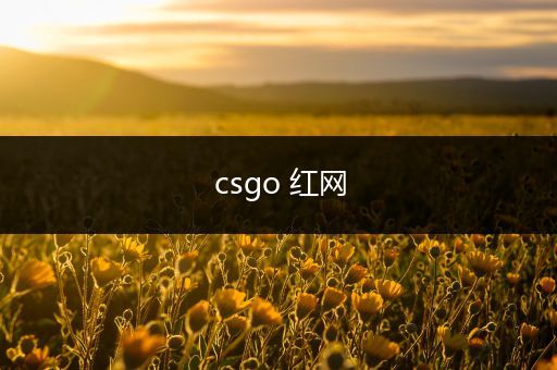 csgo 红网