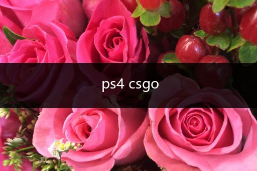 ps4 csgo