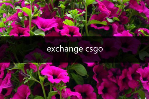 exchange csgo