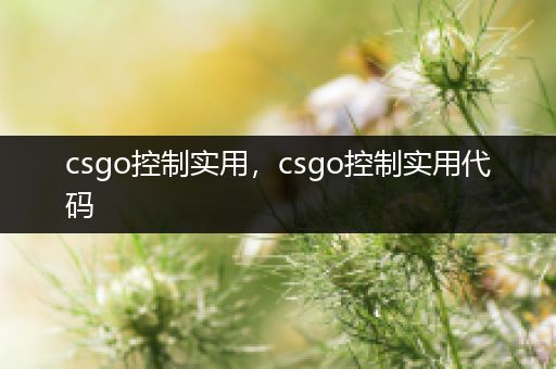 csgo控制实用，csgo控制实用代码