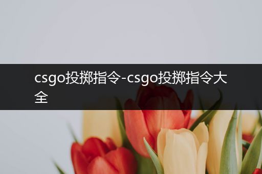 csgo投掷指令-csgo投掷指令大全