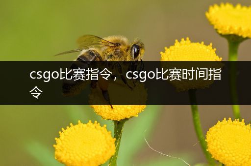 csgo比赛指令，csgo比赛时间指令