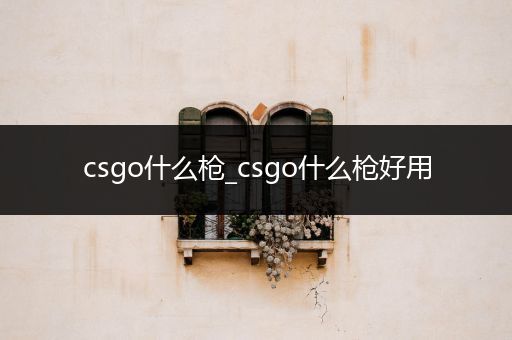 csgo什么枪_csgo什么枪好用