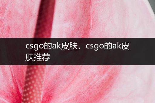 csgo的ak皮肤，csgo的ak皮肤推荐