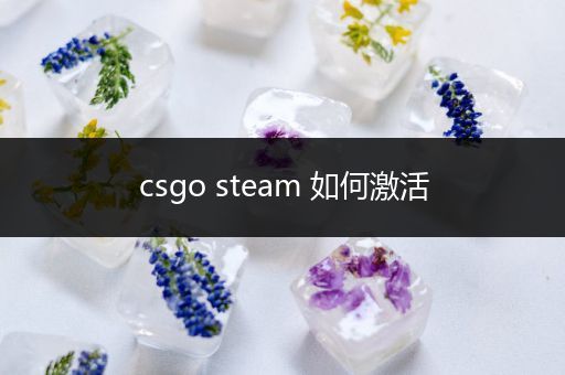 csgo steam 如何激活