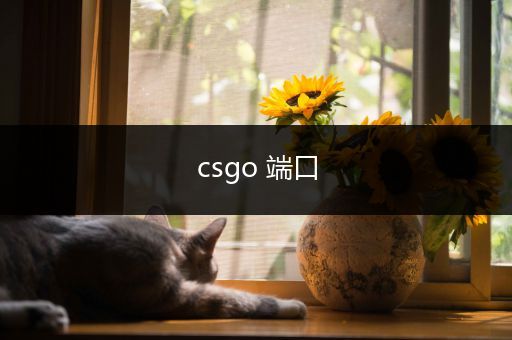 csgo 端口