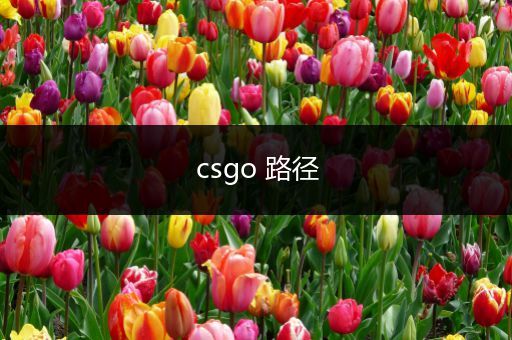 csgo 路径