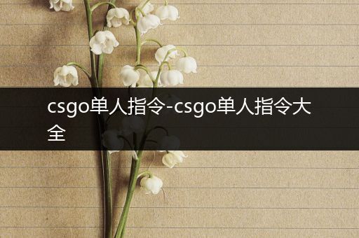 csgo单人指令-csgo单人指令大全