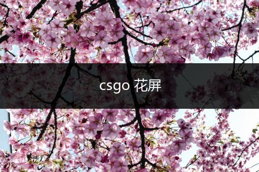 csgo 花屏